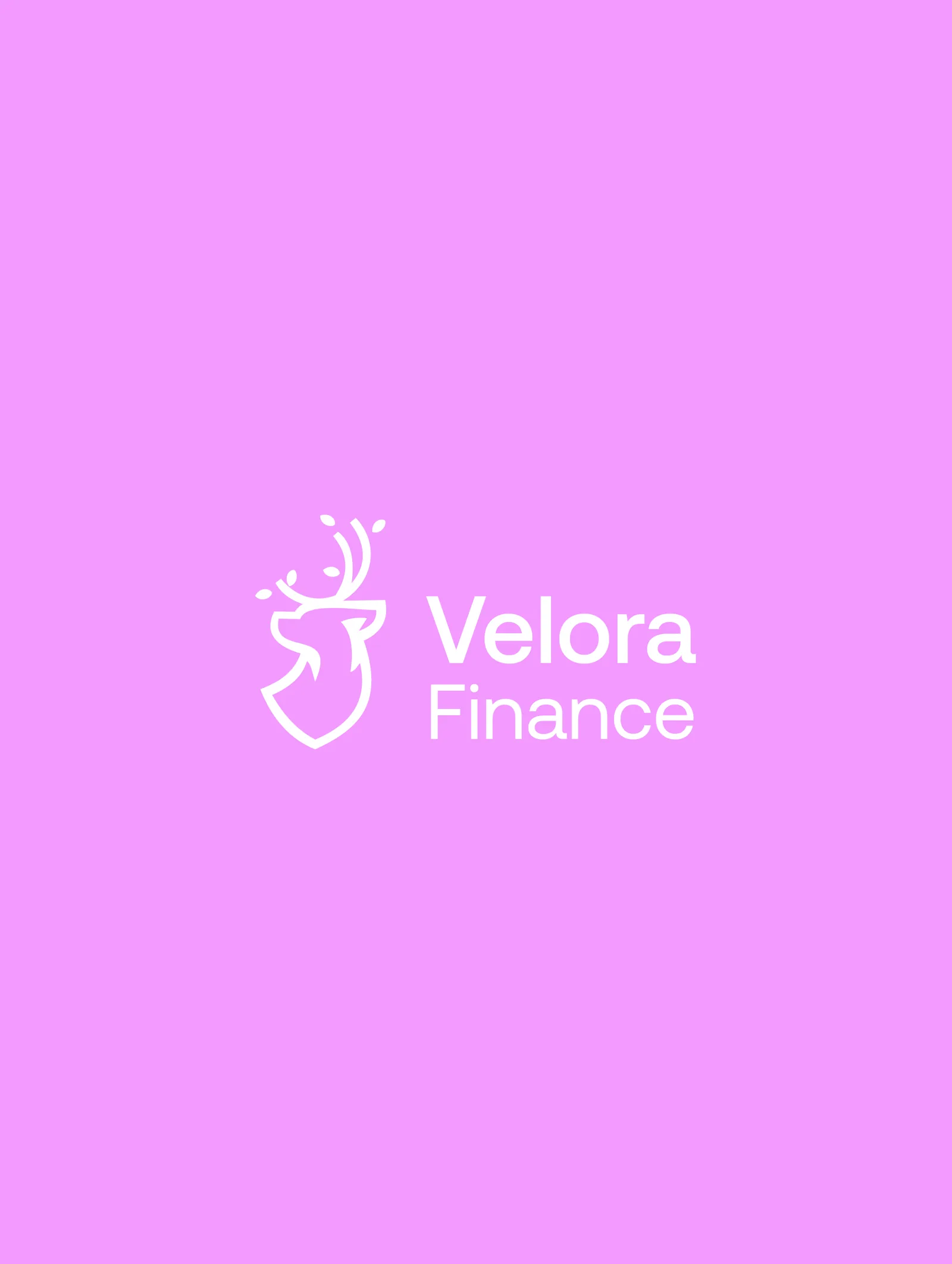 Velora Finance design, image 1
