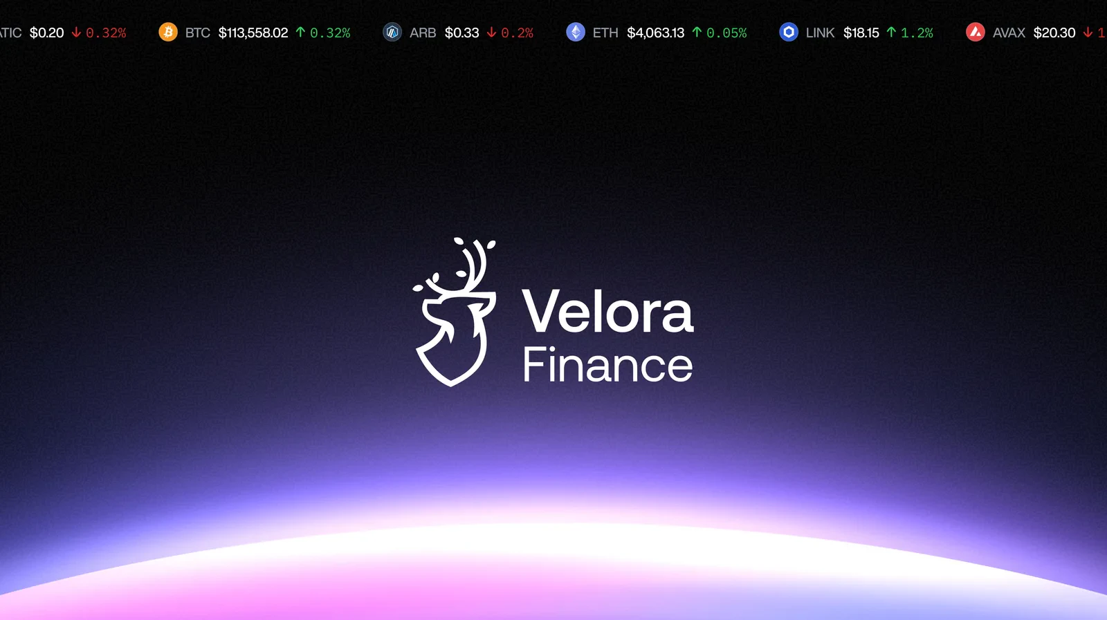 Velora Finance design, image 3